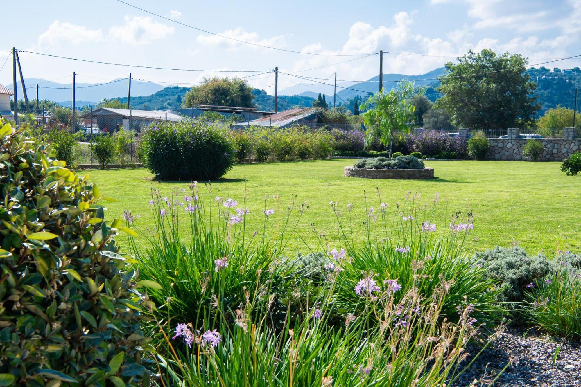 Ruellia Luxury Apartments Kalligoni Esterno foto